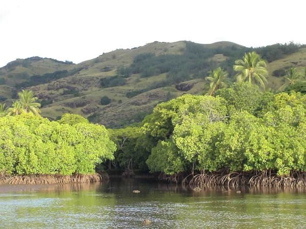 Album - vanua-levu