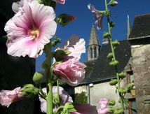 Dans les rues de Guérande