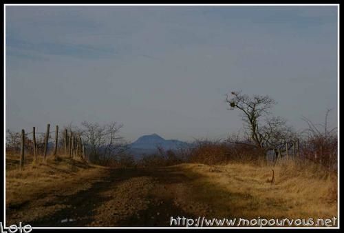 des photos diverses prises au fil des jours
