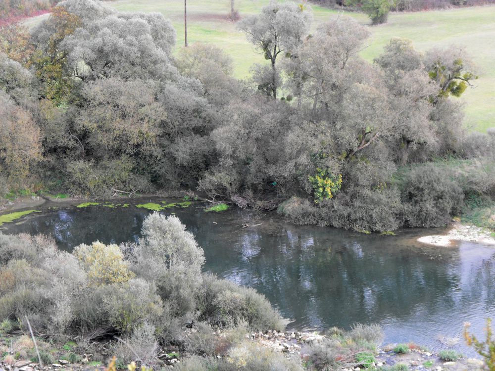 Album - Rochefort-sur-Nenon