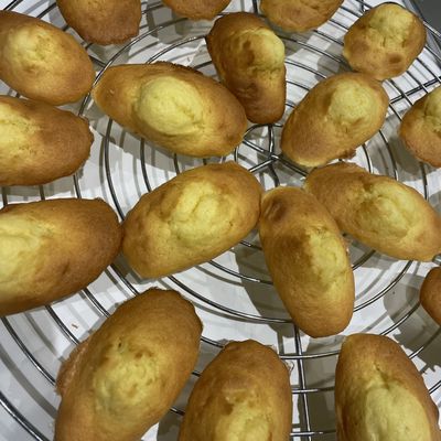 madeleines 😃