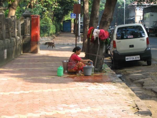 Quelques photos de mon sejour à Mumbai.