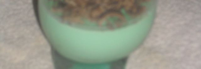 panna cotta menthe/chocolat