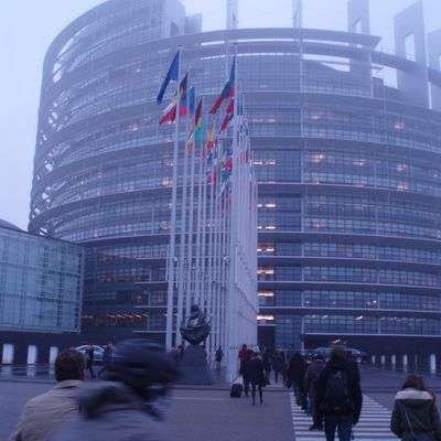 Strasbourg - visite du parlement européen decembre 2013