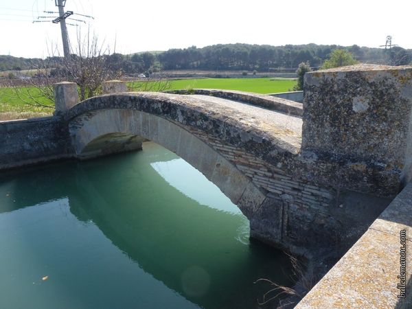 Un petit pont sans parapet