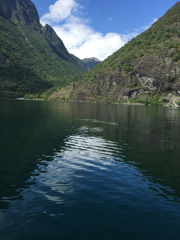 Croisière sur le fjord le 23 juin