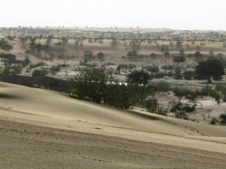 Petit tour au Rajasthan