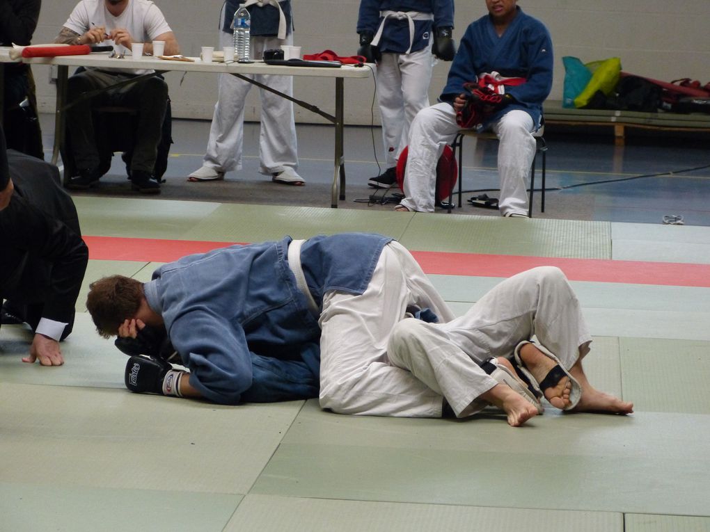 2e partie des photos de la compétition de Nihon Budo du 10 mai 2015 au gymnase des droits de l'Homme à Guyancourt.