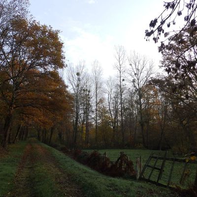 St Benoît du Sault, Le moulin de la Grange en automne