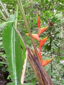 WE chargé et ensoleillé ! Au programme, papote, farniente, piscine, bronzette, ptites bouffes, cuisine de nouvelles découvertes culinaires, rando en forêt (L'Amazonie, le pied !), plage et baignade !