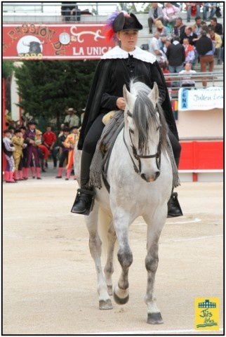 Feria de la Crau 2012 0 Saint-Martin-de-Crau ... Samedi 28 avril Corrida 6 Toros de Pagès-Mailhan pour Javier Castaño, Julien Lescarret et Miguel-Angel Delgado - Cavalerie Bonijol