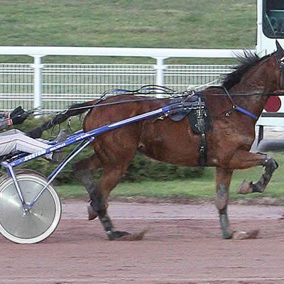 Le tuyau du jour : Lundi 7 août à Meslay-du-Maine
