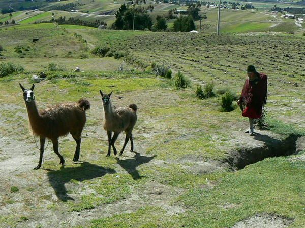 Album - Equateur - 2007