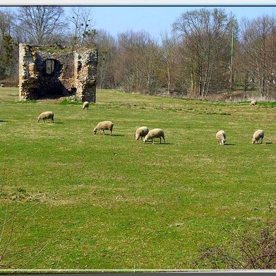 Diaporama du château de VOUHET à Dunet