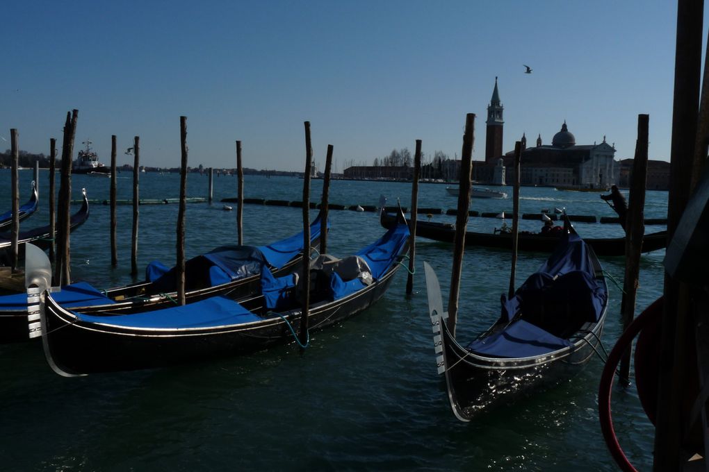 Album - VENISE