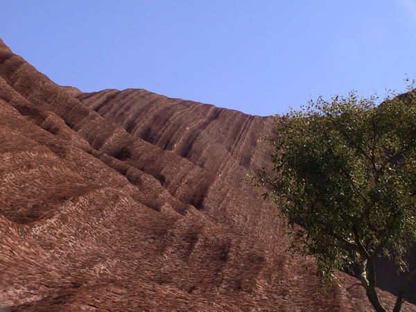 Album - australie-centrale-et-meridionale