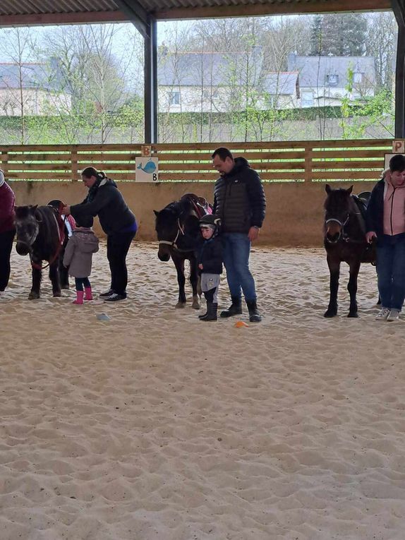 Séance 1 classe TPS PS.  Mardi 2 avril était le grand jour! Nous attendions avec impatience cette matinée poneys qui a fait plaisir à tout le monde! 3 ateliers ont été proposés : découverte de l'animal dans l'écurie, promenade à dos de poneys dans le manège, production artistique et lecture/chants dans la salle d'activité.  vivement la semaine prochaine !