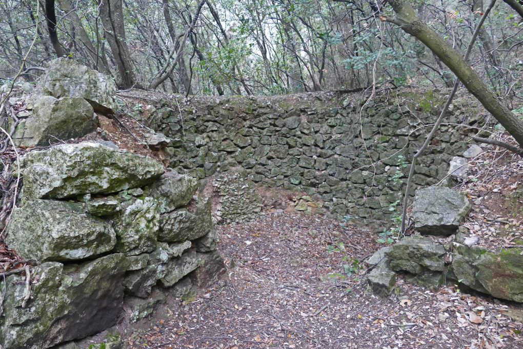 Dans la petite Ste Baume