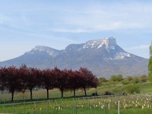 Les tours de Chignin et la Vierge dorée de Myans