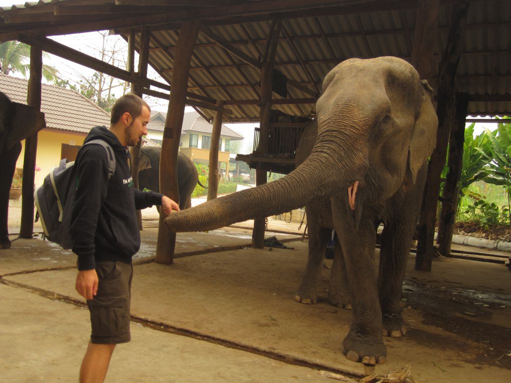 Album - THAILANDE---Chang-Mai---Trip-moto