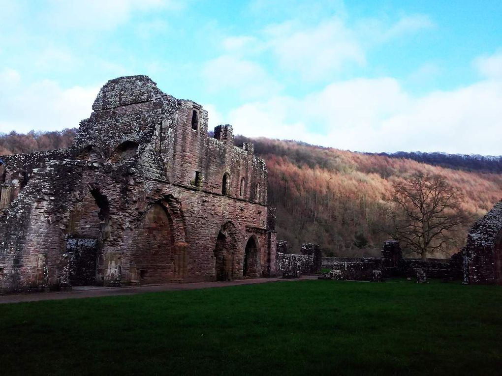 And again I hear	 these waters, rolling from their mountain-spring with a sweet inland murmur- Tintern Abbey