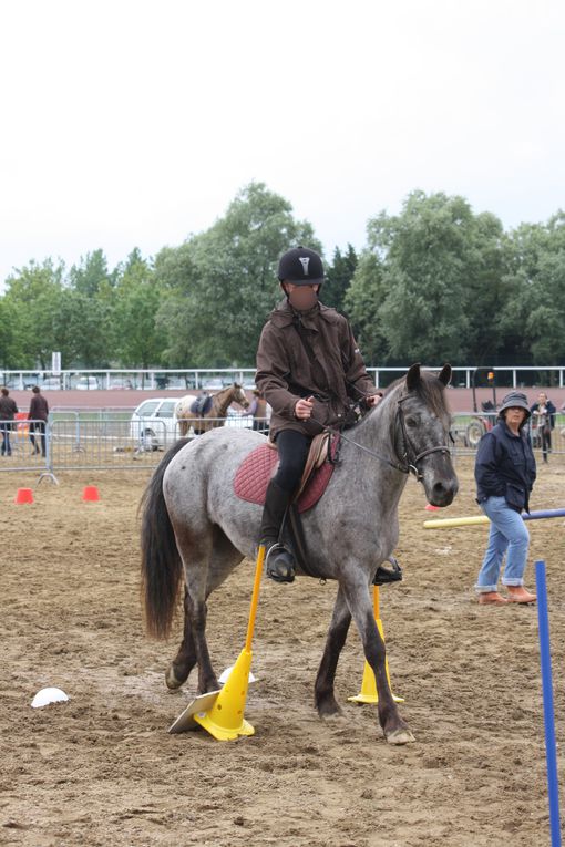 Voici un exemple d'équifun que nous mettons en place durant l'année scolaire. Celui de Cordemais se déroule pendant les finales départementales d'équitation de Saut d'obstacle, de Pony-games, etc.