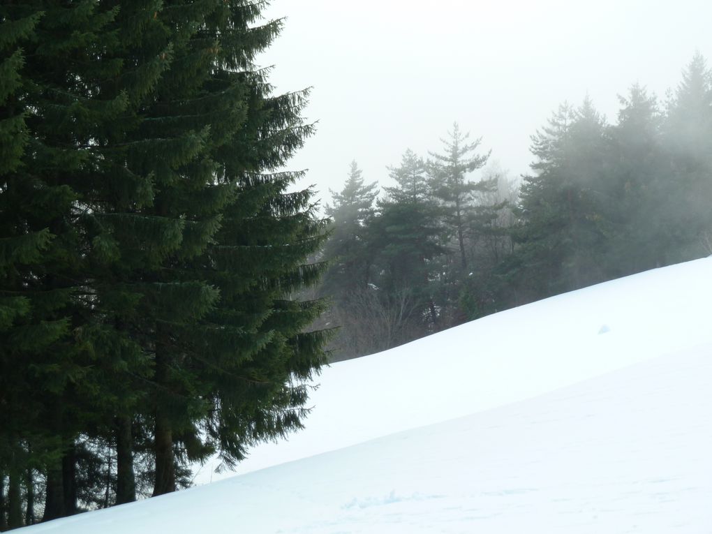 Album - Temps d'hiver au Joigny