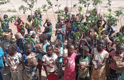 42   " Un enfant à l'école , un arbre planté " 