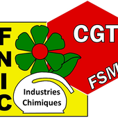 L'interdiction systématique des manifestations pro-Palestine en France : UNE ATTEINTE AUX LIBERTÉS [CGT Industries Chimiques] - Commun COMMUNE [le blog d'El Diablo]