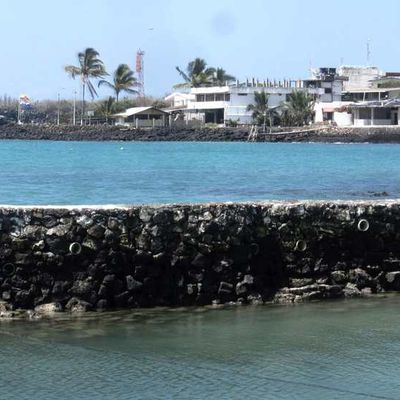 Galapagos: Isla Santa Cruz