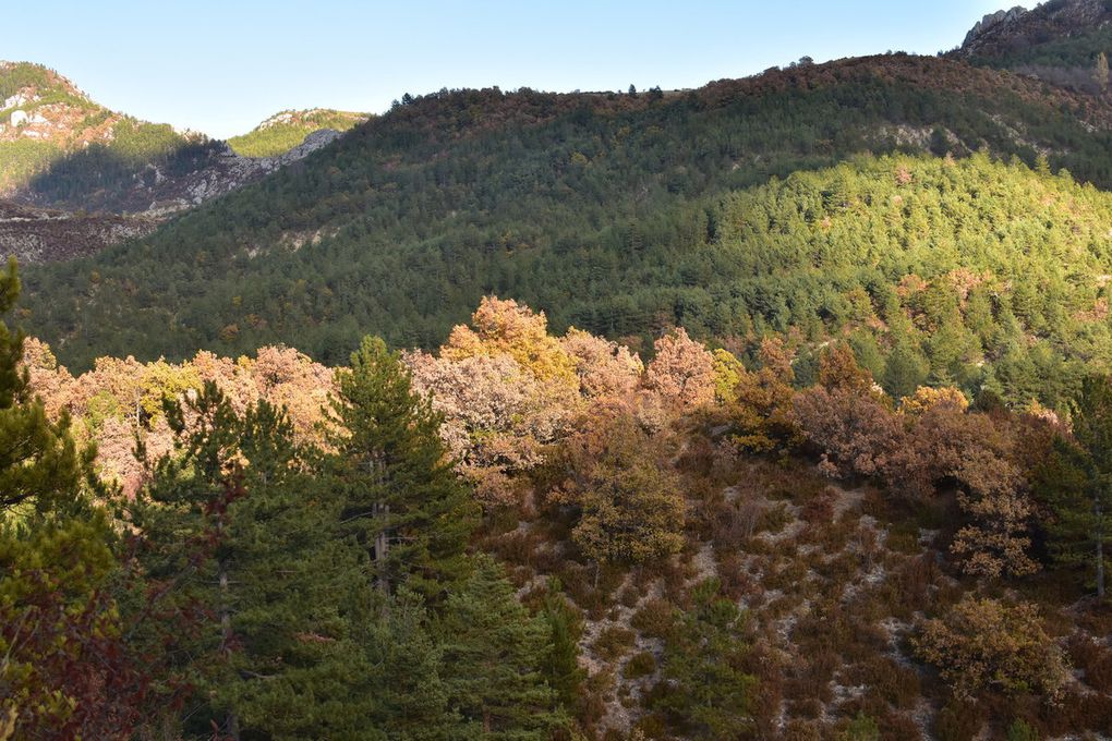 Cabane des Blaches (ONF)