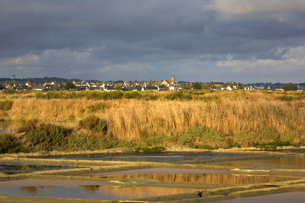 Images des marais salants de Gu&eacute;rande&nbsp;au lever du soleil