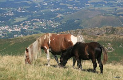 La Rhune depuis Saint-Jean-de-Luz : randonnée incontournable au Pays Basque