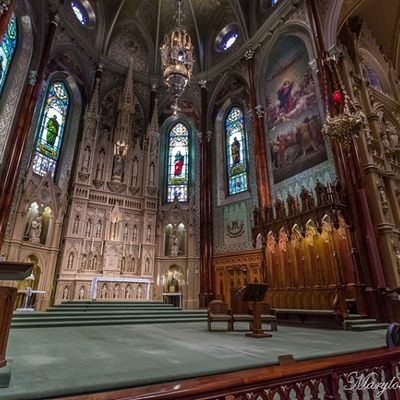 Montréal : Basilique Saint-Patrick 1/2