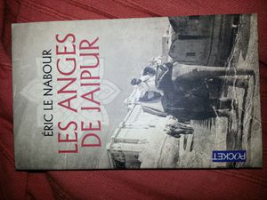 Les Anges de Jaipur de Eric le Nabour