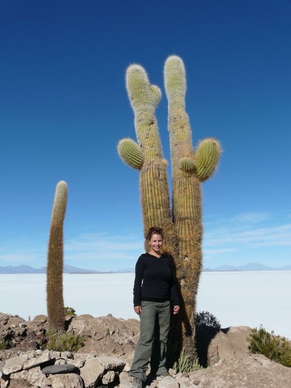 Album - Salar-d-Uyuni