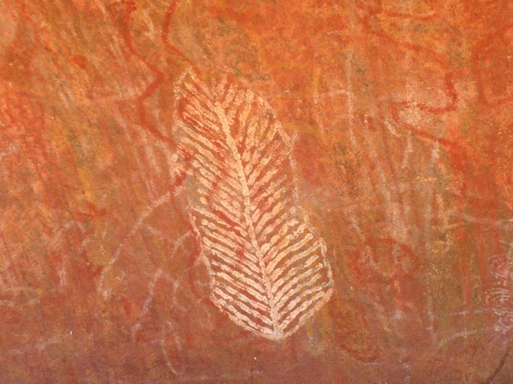 Voyage au coeur de l'Australie et des Aborigènes