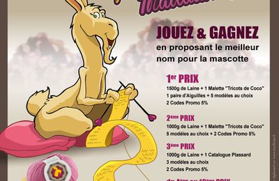 Un jeu concours pour toutes les tricoteuses...