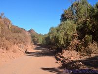 Atocha - Tupiza (Bolivie en camping-car