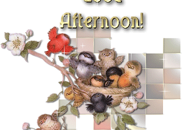 Good Afternoon - Oiseaux - Nid - Gif scintillant - Gatuit