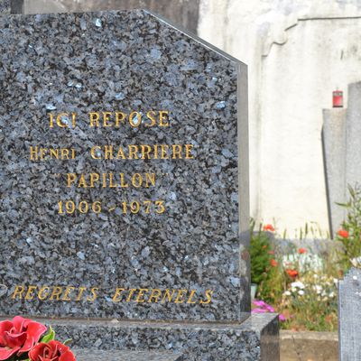  La Tombe De Papillon à Lanas (Ardèche 07200)