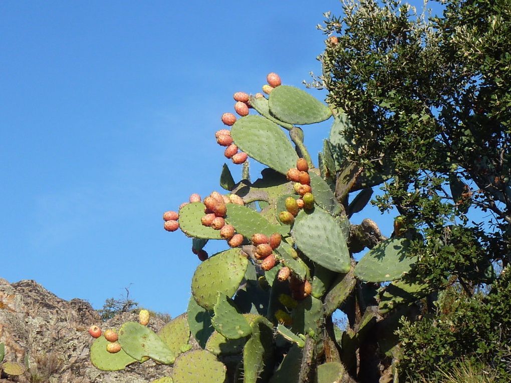 Corse, mercredi 9/09/2015  3è jour...