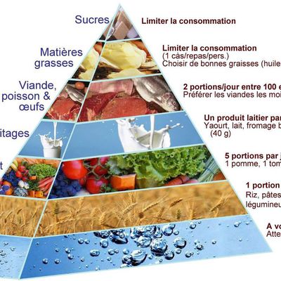 Les aliments: en savoir plus.