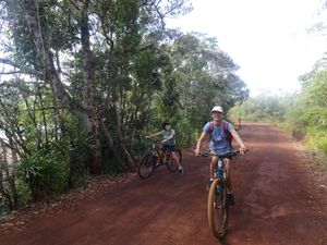 randonnée en VTT avec la girafe !