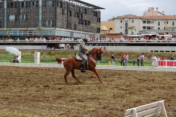 Album - Feria 2008 - La Doma Vaquera