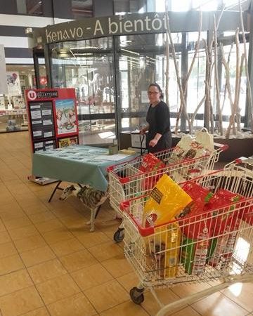 L'animation du 10 juin 2017 au magasin Super U Saint Pol de Léon 29 ... retour dans le passé pour les lévriers 