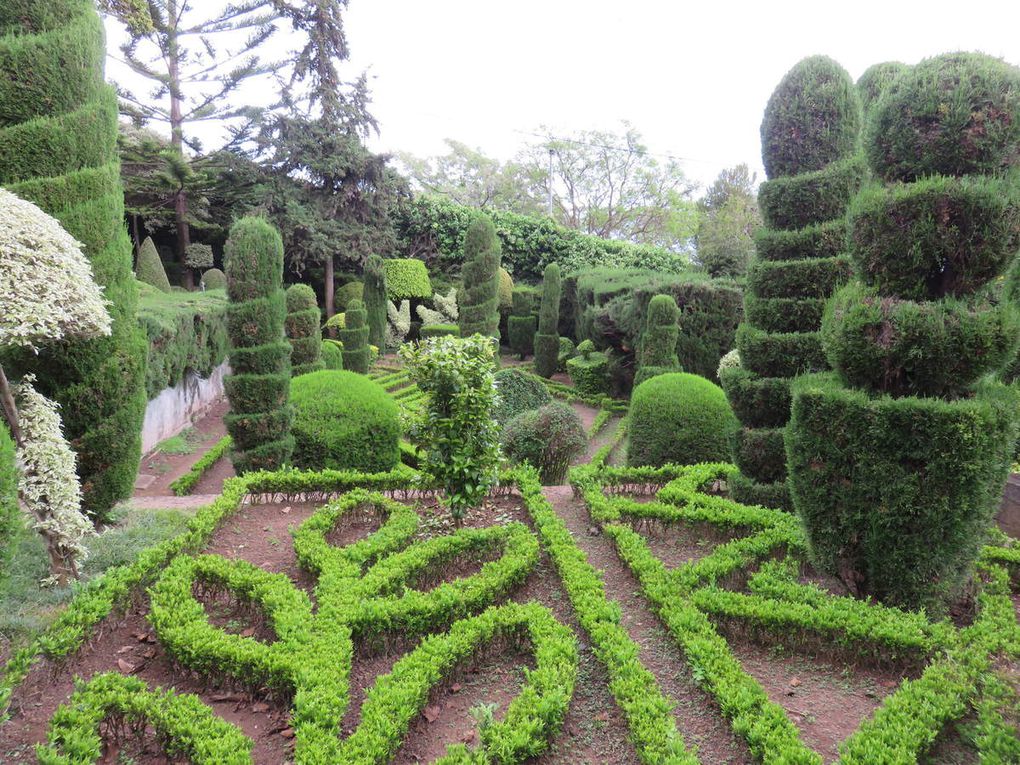 Les jardins tropicaux de Funchal - Madère