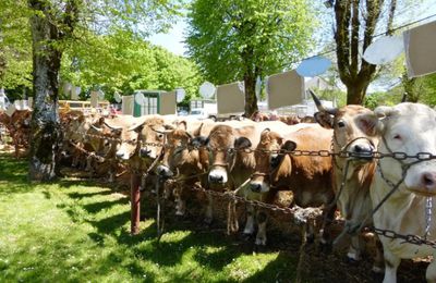 Foire de Thérondels le samedi 18 Mai.