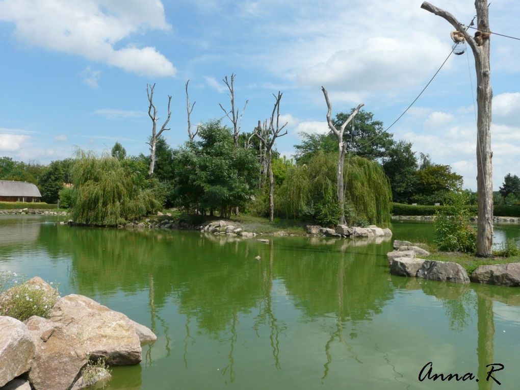 Visite du 17 aout 2010