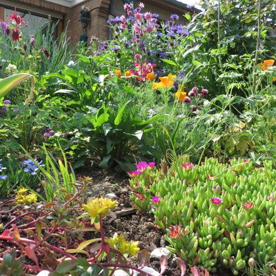 Romance sans paroles